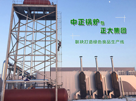 中正燃?xì)鈱?dǎo)熱油鍋爐全力助陣正大集團打造綠色食品生產(chǎn)線