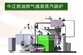 中正撬裝蒸汽鍋爐系統(tǒng)在中國(guó)的優(yōu)勢(shì)是顯著的，并成功進(jìn)入海外市場(chǎng)